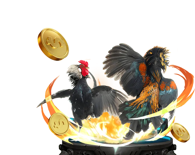 Cá cược Đá Gà trực tiếp shbet com